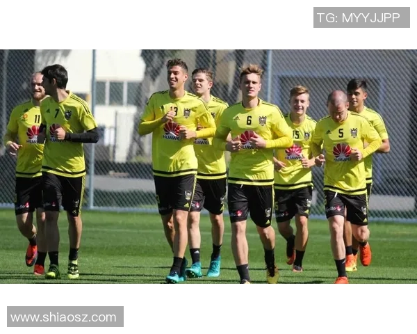 惠灵顿凤凰迎战纽卡斯托期待激烈对决与精彩瞬间