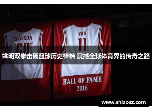 姚明双拳击破篮球历史桎梏 震撼全球体育界的传奇之路