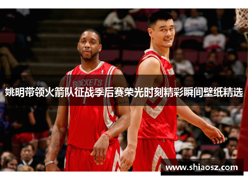 姚明带领火箭队征战季后赛荣光时刻精彩瞬间壁纸精选