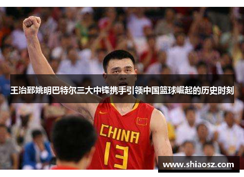 王治郅姚明巴特尔三大中锋携手引领中国篮球崛起的历史时刻