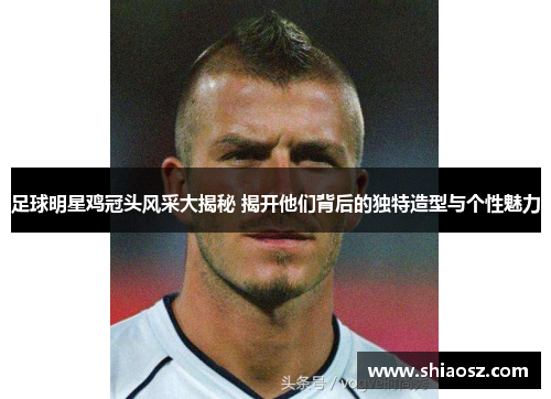 足球明星鸡冠头风采大揭秘 揭开他们背后的独特造型与个性魅力