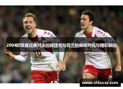2004欧锦赛经典对决回顾捷克与荷兰的巅峰对抗与精彩瞬间